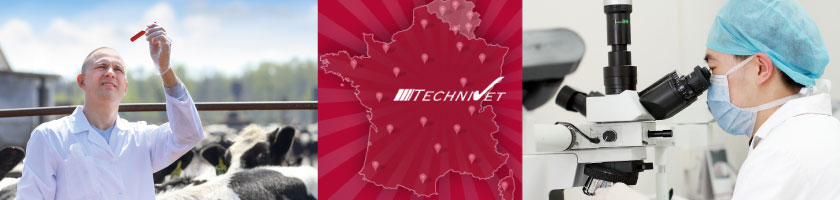 Technivet Expertise Vétérinaire sarl